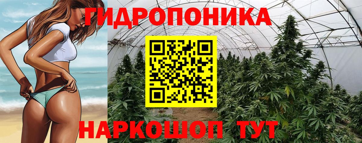 Бошки Шишки AK-47 Тула